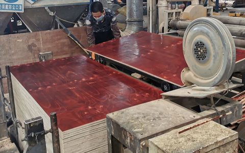 千里迢迢考察這家塑面木芯建筑模板工廠