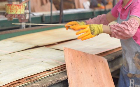 建筑模板生產(chǎn)設(shè)備-排板線