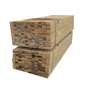 鐵杉木方花旗松 鐵杉木方花旗松