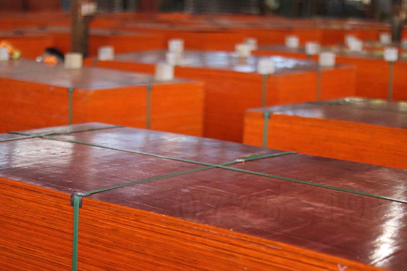 建筑模板廠家哪里多?考察廠家五個技巧! 建筑模板廠家哪里多?考察廠家五個技巧!